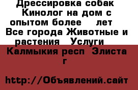 Дрессировка собак (Кинолог на дом с опытом более 10 лет) - Все города Животные и растения » Услуги   . Калмыкия респ.,Элиста г.